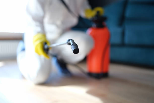 Best Residential Mold Inspection & Testing  in Kemmerer, WY