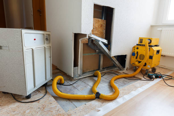 Best Mold Damage Restoration  in Kemmerer, WY