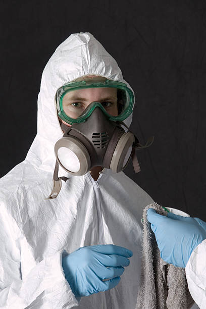 Best Basement Mold Removal  in Kemmerer, WY